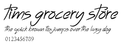 Tims Grocery Store Preview