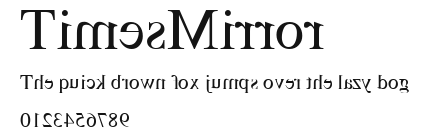 TimesMirror Preview