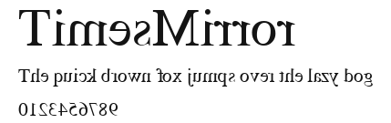 TimesMirror Preview