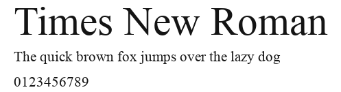 Times New Roman Preview