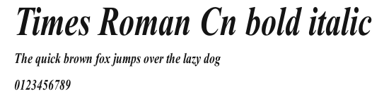 Times Roman Cn bold italic Preview