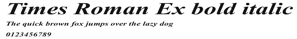 Times Roman Ex bold italic Preview