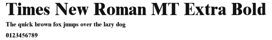 Times New Roman MT Extra Bold Preview