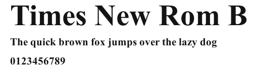 Times New Rom B Preview