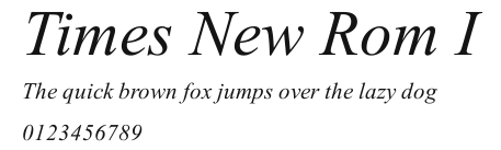 Times New Rom I Preview