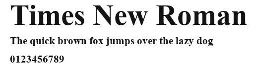 Times New Roman Preview