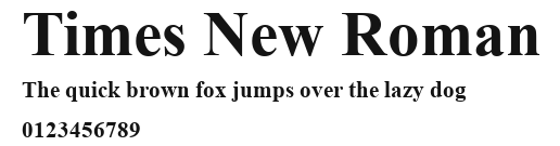 Times New Roman Preview