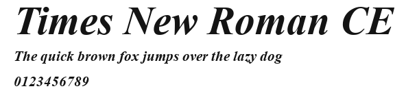 Times New Roman CE Preview