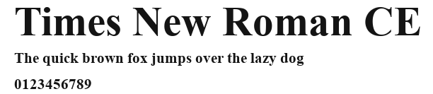 Times New Roman CE Preview