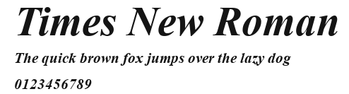 Times New Roman Preview