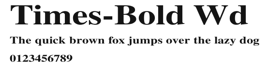Times-Bold Wd Preview