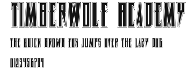 Timberwolf Academy Preview