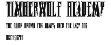 Timberwolf Academy Preview