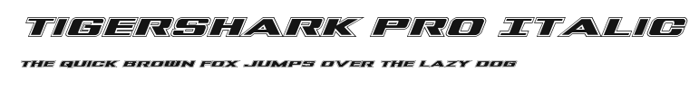Tigershark Pro Italic Preview