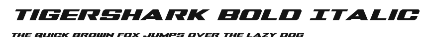 Tigershark Bold Italic Preview