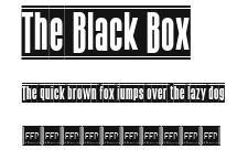 The Black Box Preview