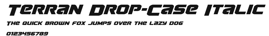 Terran Drop-Case Italic Preview