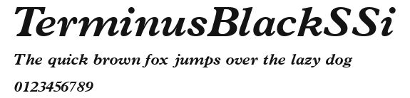 TerminusBlackSSi Preview