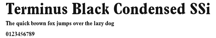 Terminus Black Condensed SSi Preview