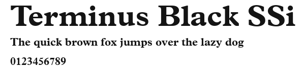 Terminus Black SSi Preview
