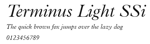 Terminus Light SSi Preview