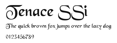 Tenace SSi Preview