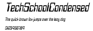 TechSchoolCondensed Preview