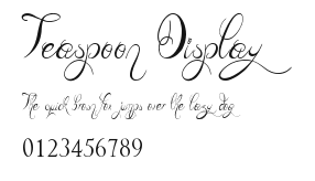 Teaspoon Display Preview