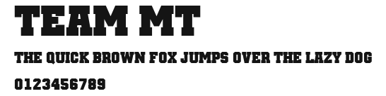 Team MT Preview