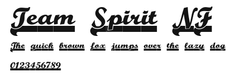 Team Spirit NF Preview