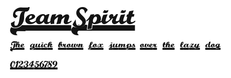 TeamSpirit Preview