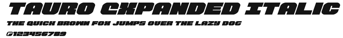 Tauro Expanded Italic Preview