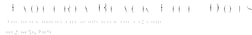 Taqueria Black Fill Dots Preview