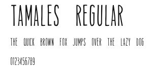 Tamales Regular Preview