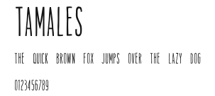 Tamales Preview