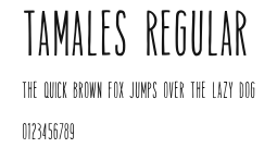 Tamales Regular Preview