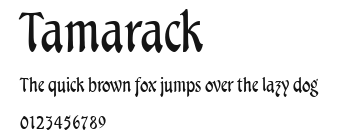 Tamarack Preview