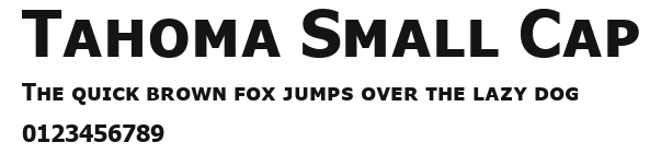 Tahoma Small Cap Preview