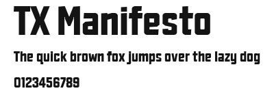 TX Manifesto Preview