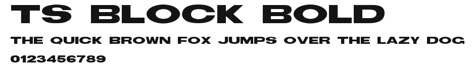 TS Block Bold Preview