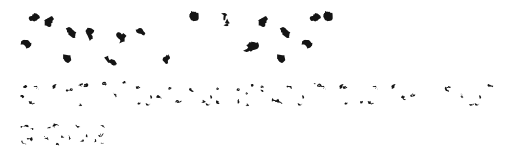TOXIN-SPOTS Preview