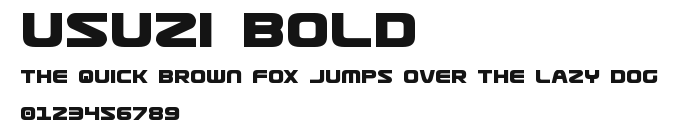 Usuzi Bold Preview