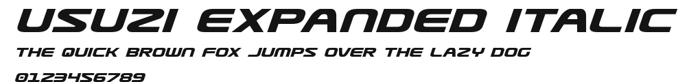 Usuzi Expanded Italic Preview