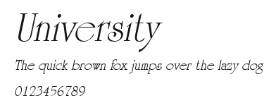 University Preview