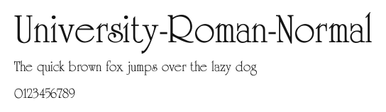 University-Roman-Normal Preview