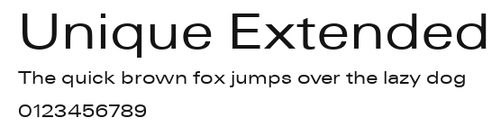 Unique Extended Preview