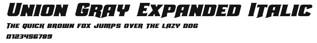 Union Gray Expanded Italic Preview