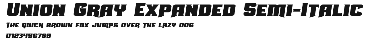 Union Gray Expanded Semi-Italic Preview