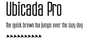 Ubicada Pro Preview
