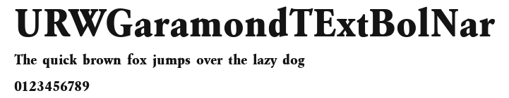 URWGaramondTExtBolNar Preview